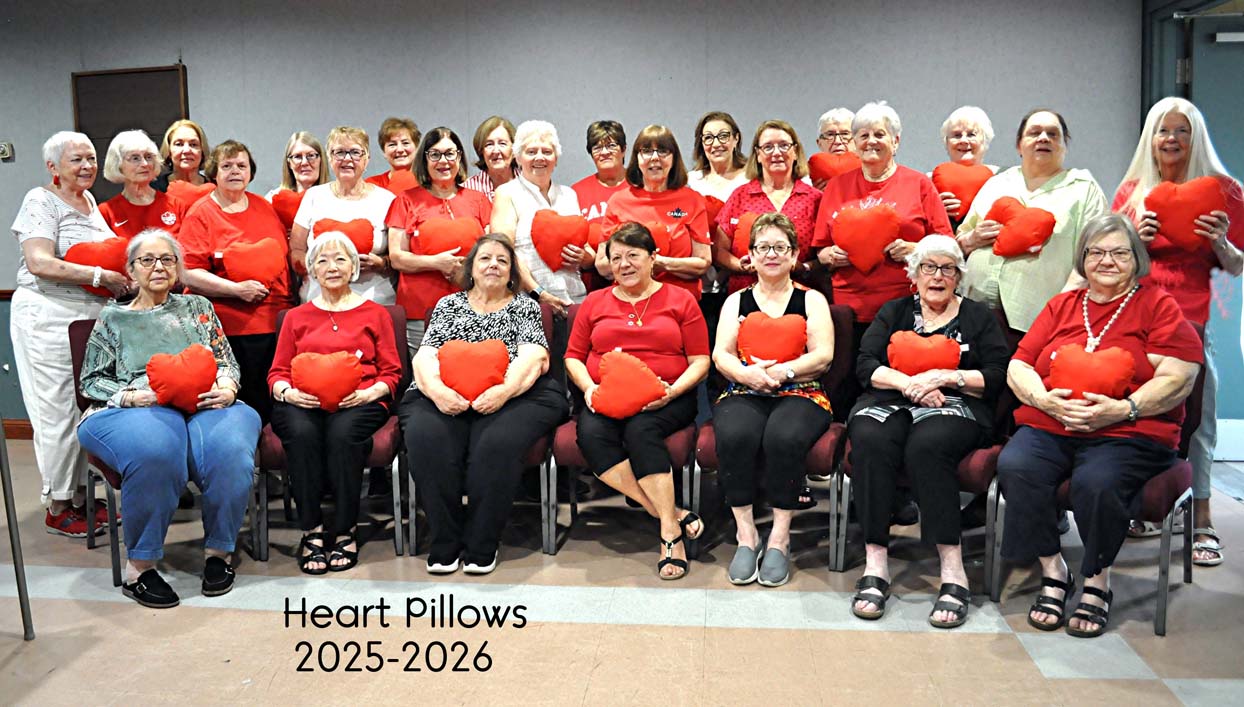 Heart Pillows 2026